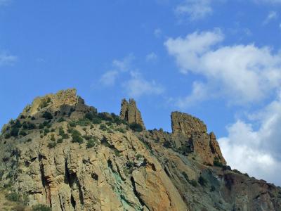 Прикрепленное изображение: CCX22.jpg